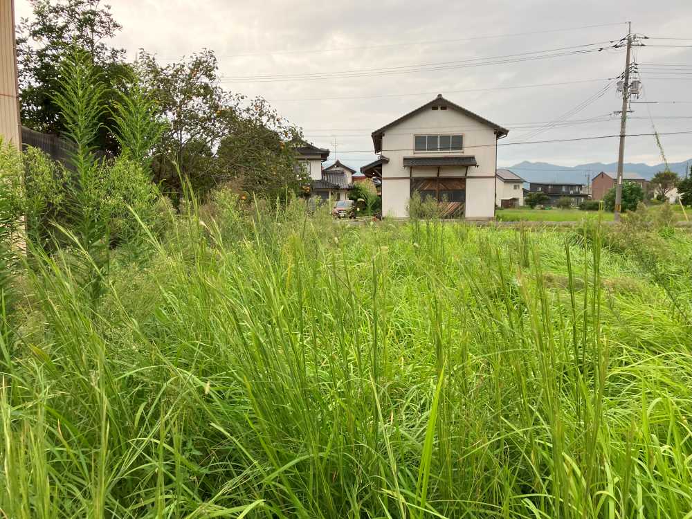 LCC株式会社-草刈り施工事例 島根県出雲市にて 草刈り作業前の写真