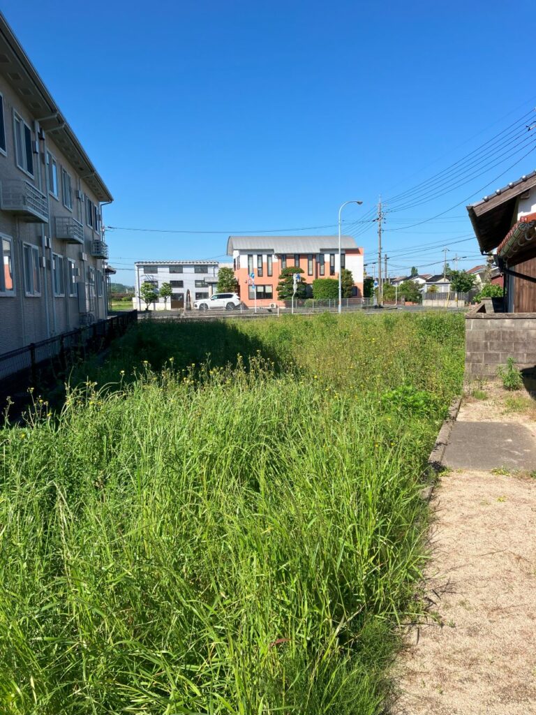 出雲市草刈り施工事例 草刈り前の写真